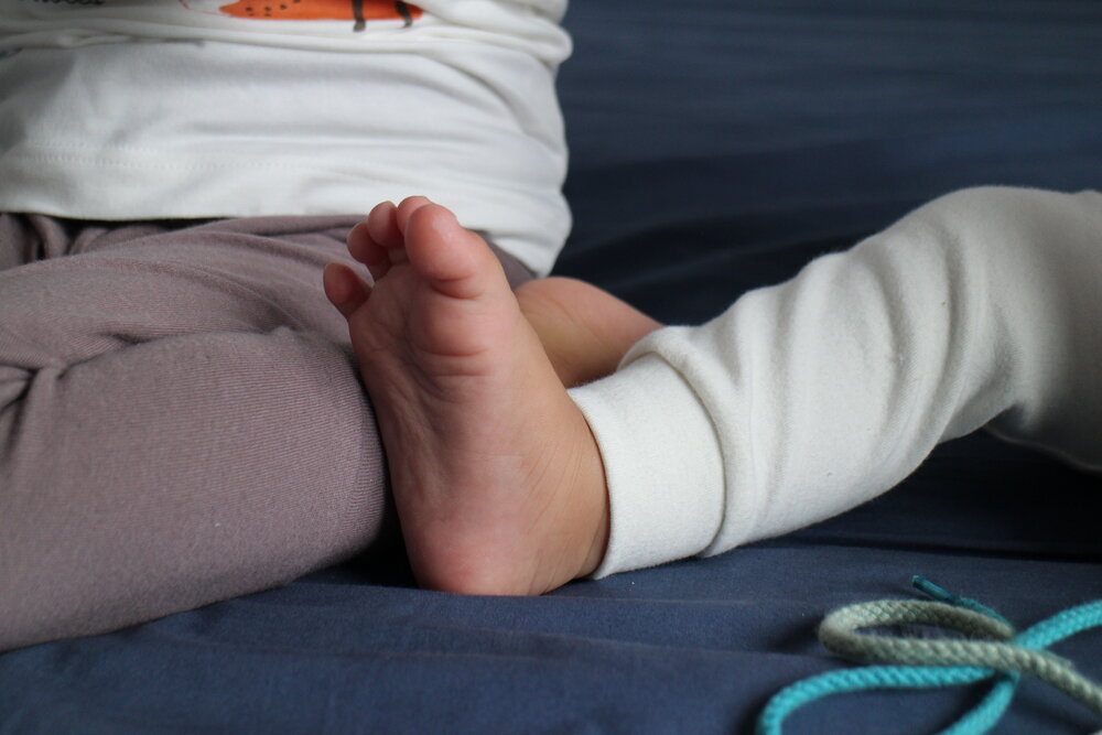 Organic Cotton Tummy Pants